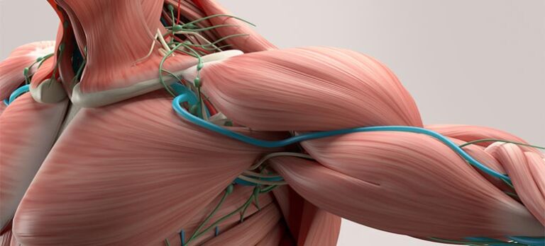 082a081df37c55168147e7af519d8ba8