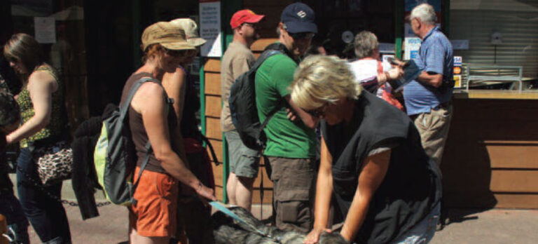 11bd67e4c1ed0835fb7838df461d6f21