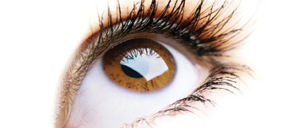 124ecf1811f99bfb3dc3eea2fd350e52