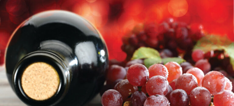 13a89a403b518506f1bf41a4ccbff768