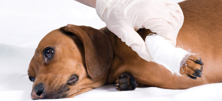 153a23792d6f2d7a7ea3d7be2e0686e7