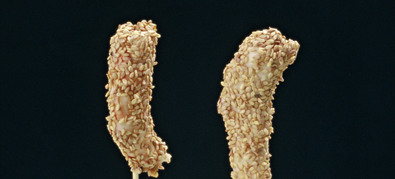 15ea984f79184c688ba3dac00e7923ac