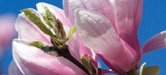 1dfadb2fb42d282f27928b6354e65056