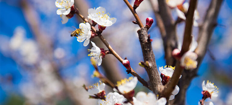 1e5cbb60f0080414828dae0a1909db11