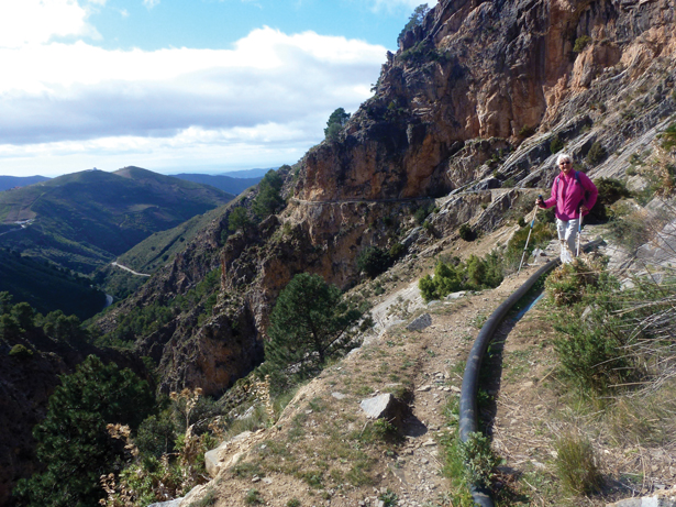 1e703b03d616029e2dd36933d6612728