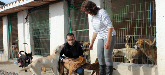 2826034bd23f0554267bf1faa76a1c0b