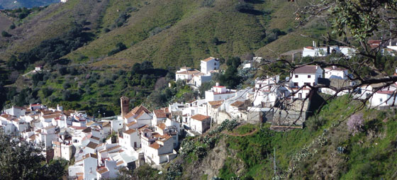 31bfdb707cd48bb9b13e475eec49ae32