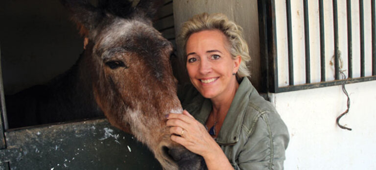 3e13fe1ed264a8712fe4ccdc4d7daff9