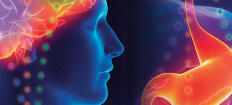 42bafd0122228801be857e335247322c