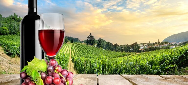 46b6f72c33518accb89c9319cd7b5743