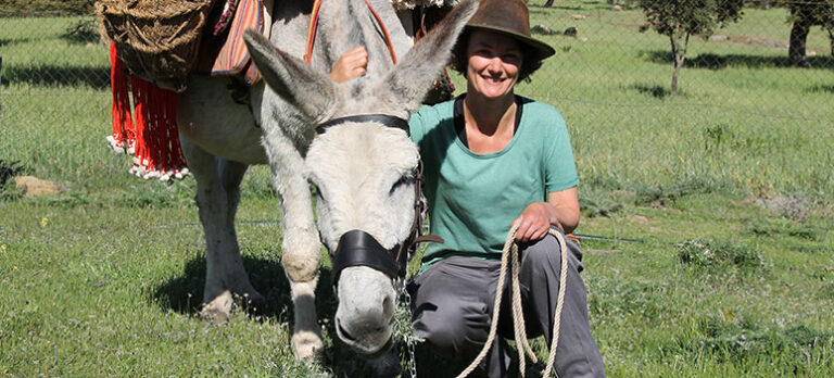 4e047077fff1996e1e40a1151a437bfb