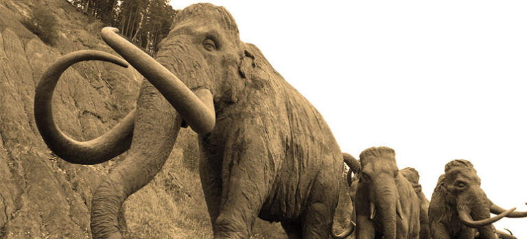 563be06d57bbba79ab0114a53803a5c4