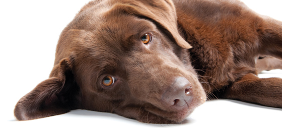 569d06f3416743c8533610d573eeaaf1