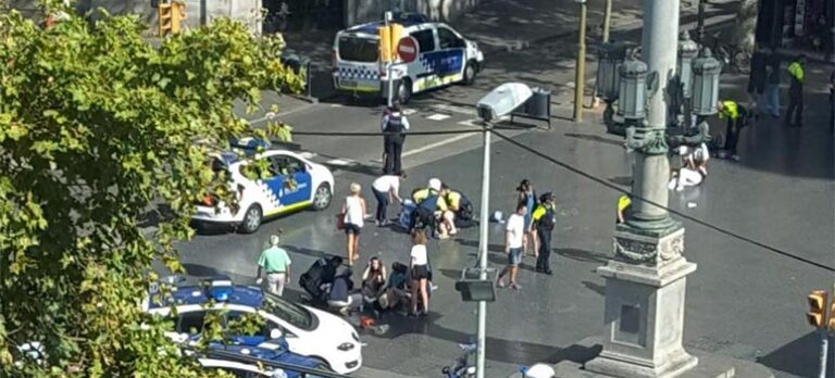 56e9ec5a1cd24ee4ddbf78840a97d6ff