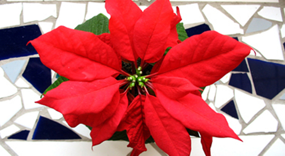 5931eadfcf2888e4dd95d09023588159