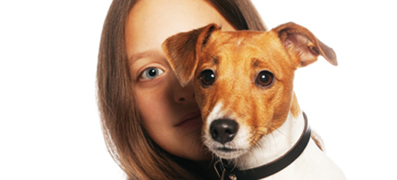 5cba3001b3c1a57b5e31de5f4bf0e9cd