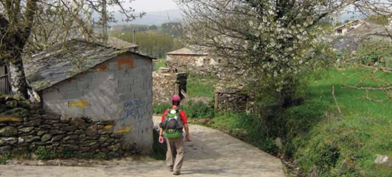 6a804e651290a0b6f3483f310acfe787