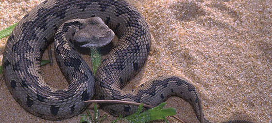 6ca3ac387f6d789e93a88ab495dfecf2