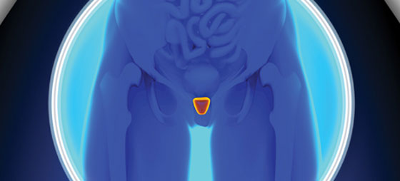 6df0511d8651cfe6607f2530d7e58bfc