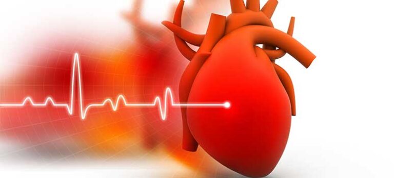 7c49e388cf7b429855d6f4911db711ed