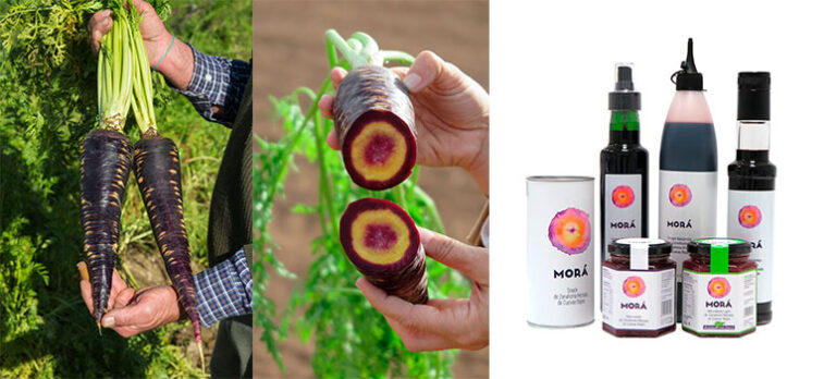 7cb03b6e48b4dade27f5306bd491edd2