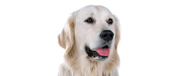 8243776e8b2075552a71caf88641e08f