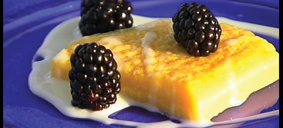 8252a7539de41f848835109974bd5921