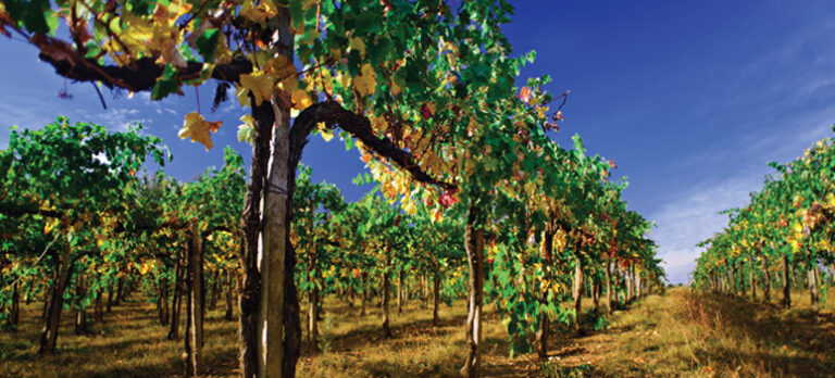 83a9c8c525816cfc2bed67a2a7ec0c99