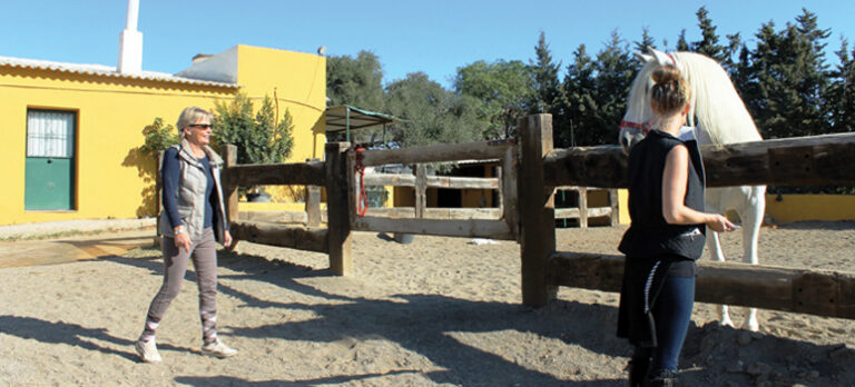 8eafbe919457e11e3f4e1d2cdd77c13f