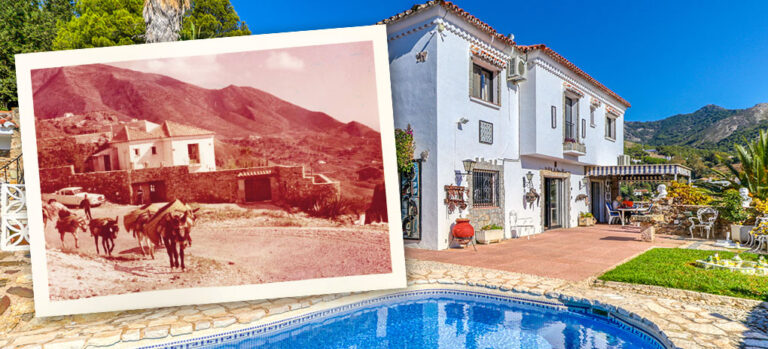 8fe7ea399976c6879e63c4a63be00d84