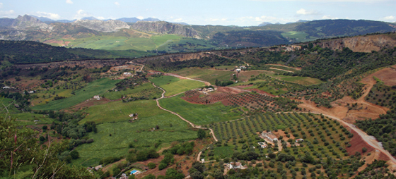 94c2edb74e5d837601b418a500638386