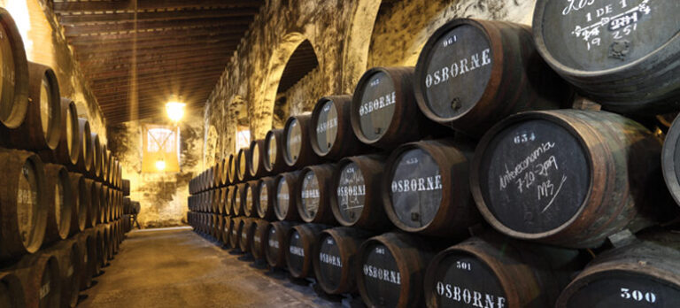 97be3bb0b765a21de3b74a0be4b7eeaf