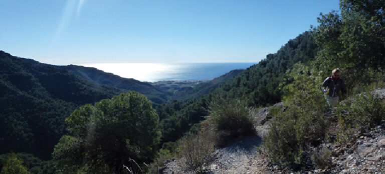 9b202d6904b2ca550bf9fa6fc682d327