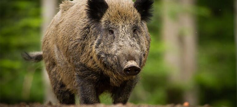 9c69fd820fa4a6479fbde1f320ee27ab