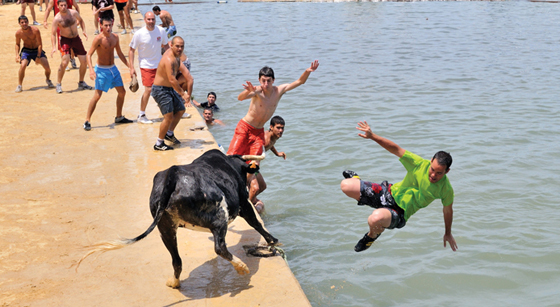 a0244add5a143e517918bd75a9b83589