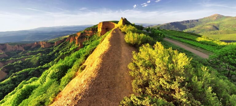 a51aa06a755a04f3236d4a235226af6a