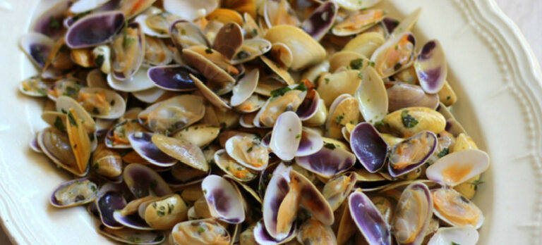 a8cdfe3726ccab4cf2c37bed955768e1