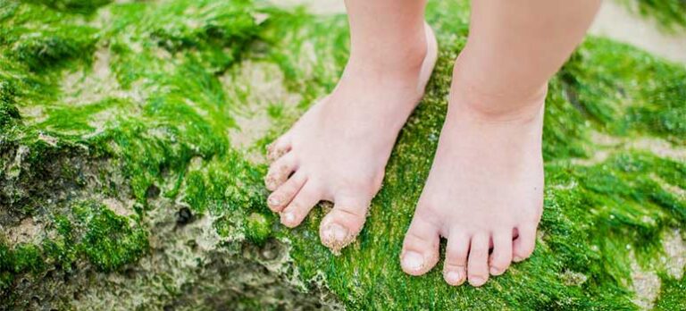 a8f7a0706676b2b144461467ac45fa08