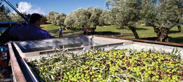 ac4c97f336ce652b754ccb006bcade5d