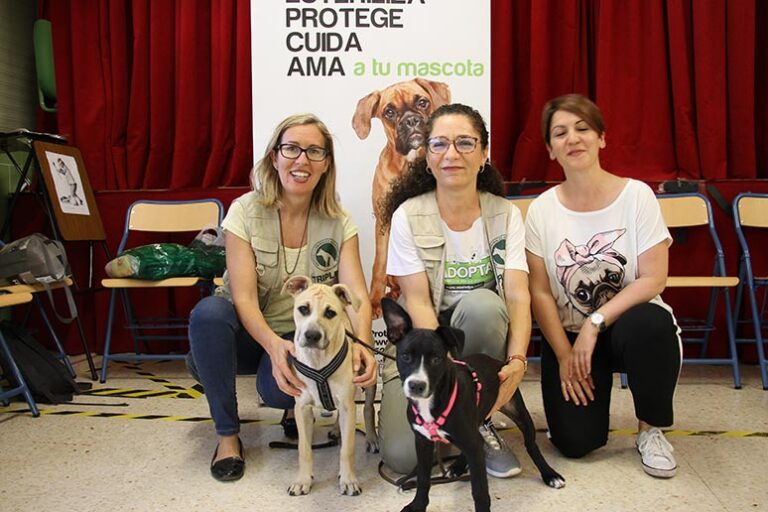 aef103a4443102a1799837806b8f27c9