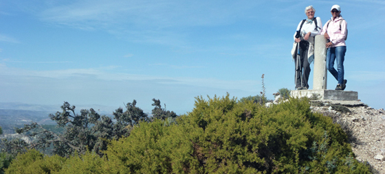 b1deabb7a1f518980117a54c96e25906