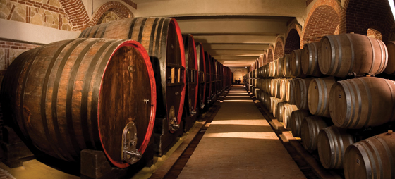 b713458d7ceae29806f4cd6e54e17940