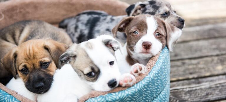 b949db5dacf7cc6730785263205b7abe