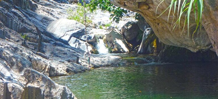 bf835d66b2a04ff58dd00888fb81ada3