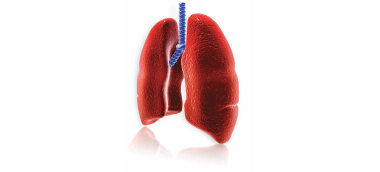 c2e547040863bbac381bd3d2227b3134