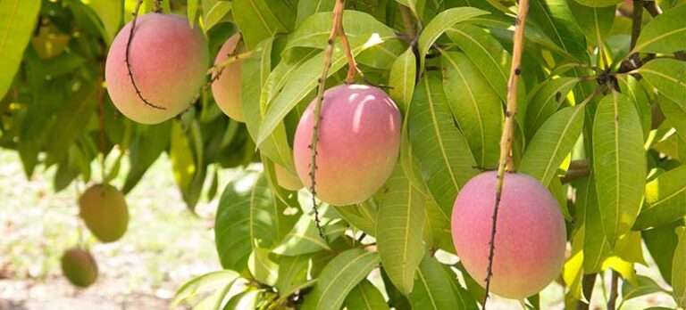 c37776e9442274e7d2acb45c9dd89b3a