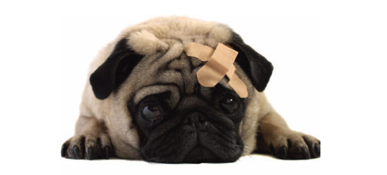 c9a24eb32c19dbc91000651fb6087141