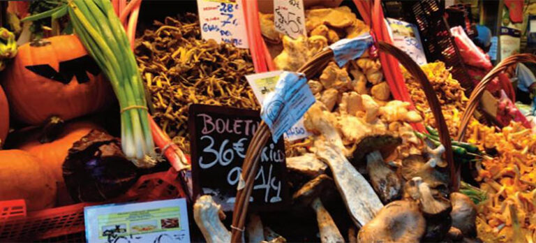 ca8b7674c15b522a736a8de725382ee5