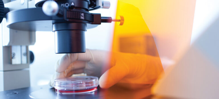 cdd41ad798f5433bce27737935f96887