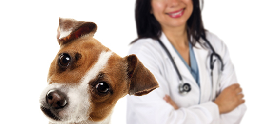 d41d17977e96014a60f870b73ef0d9a5